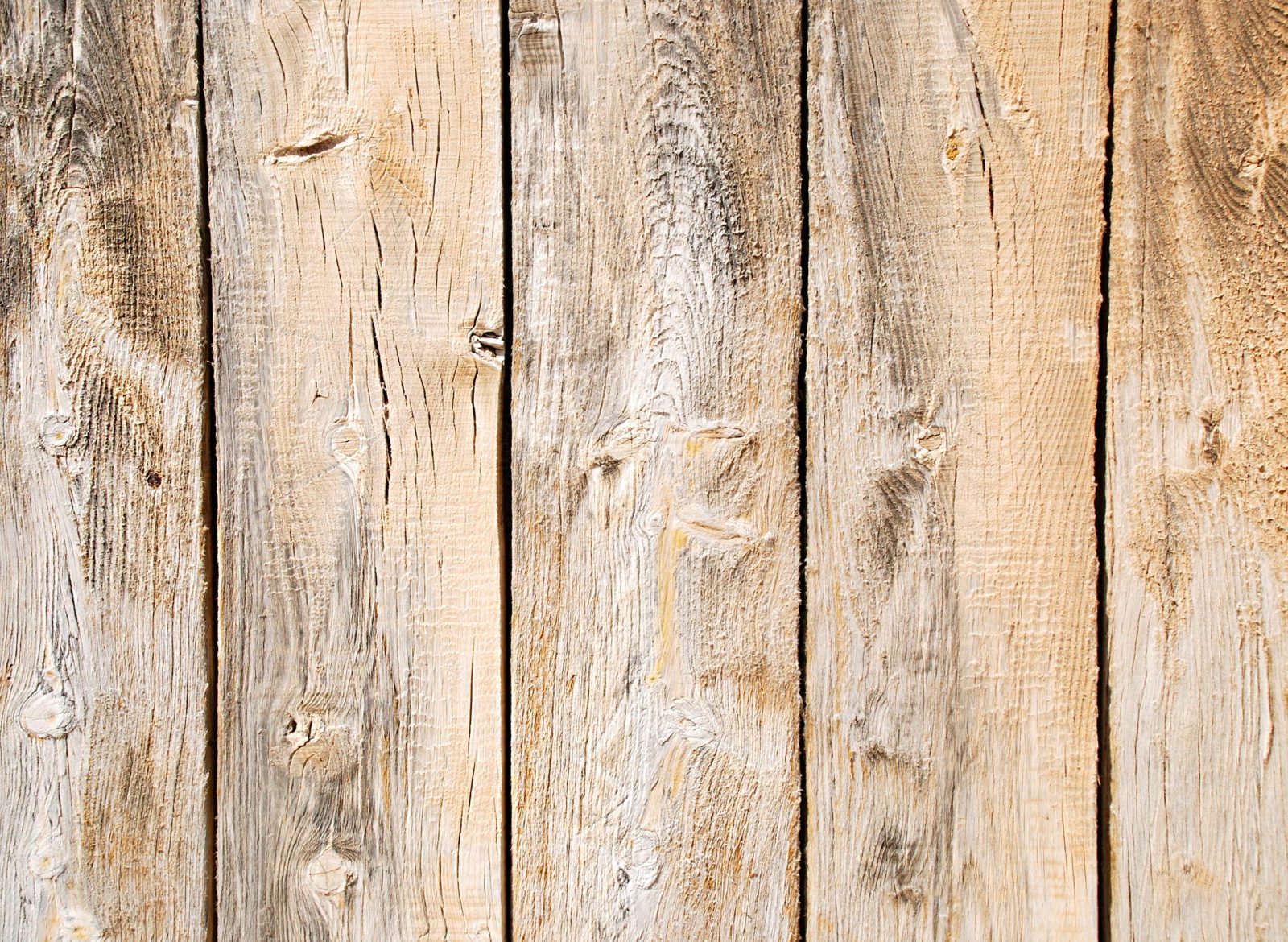 board on board wood fence southern florida